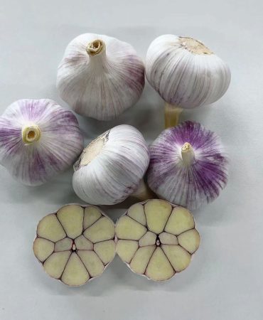 China-Fresh-Garlic-For-Sale-5